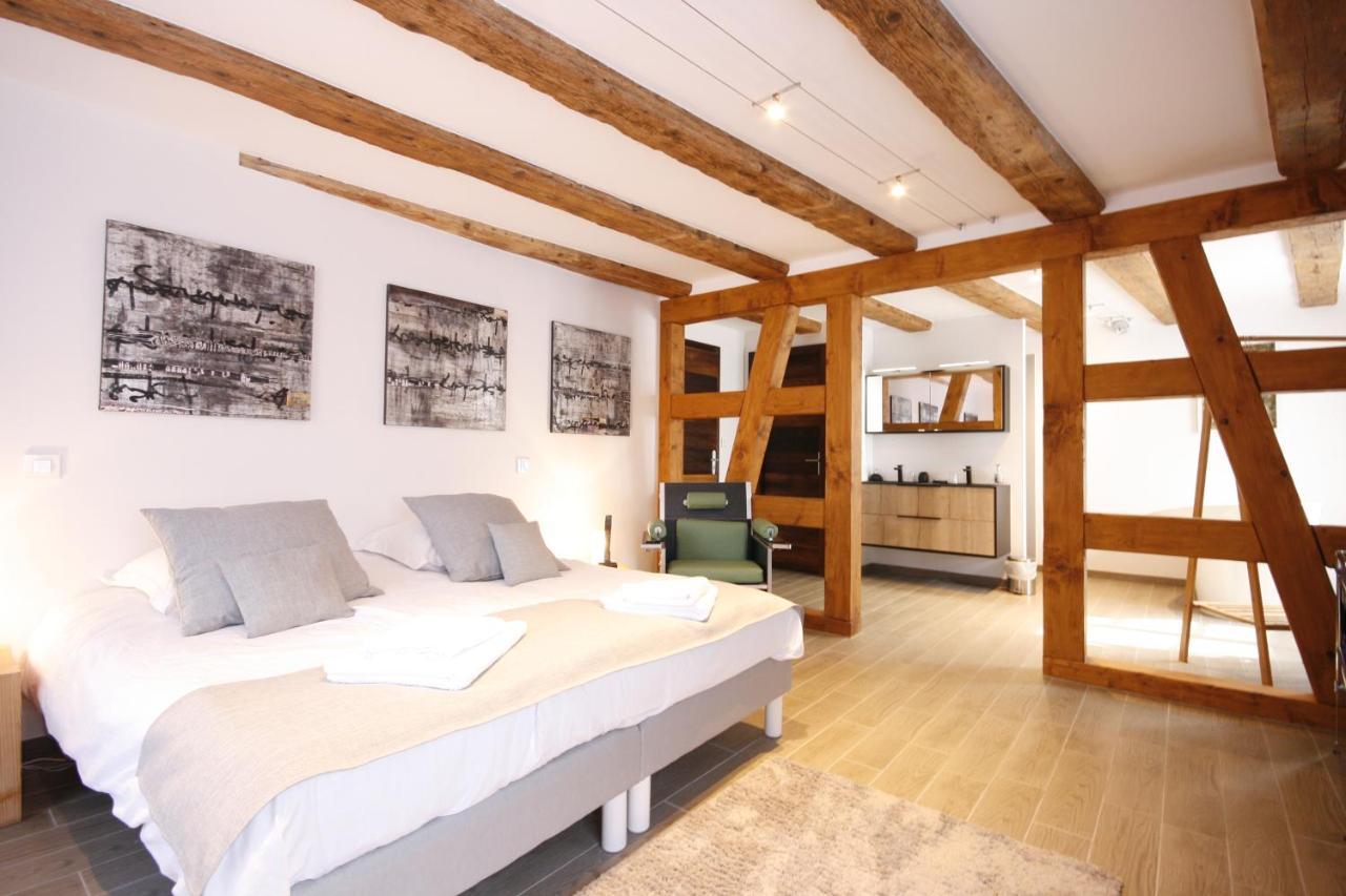 App'Art - Le T Avec Sauna Kaysersberg-Vignoble Ngoại thất bức ảnh